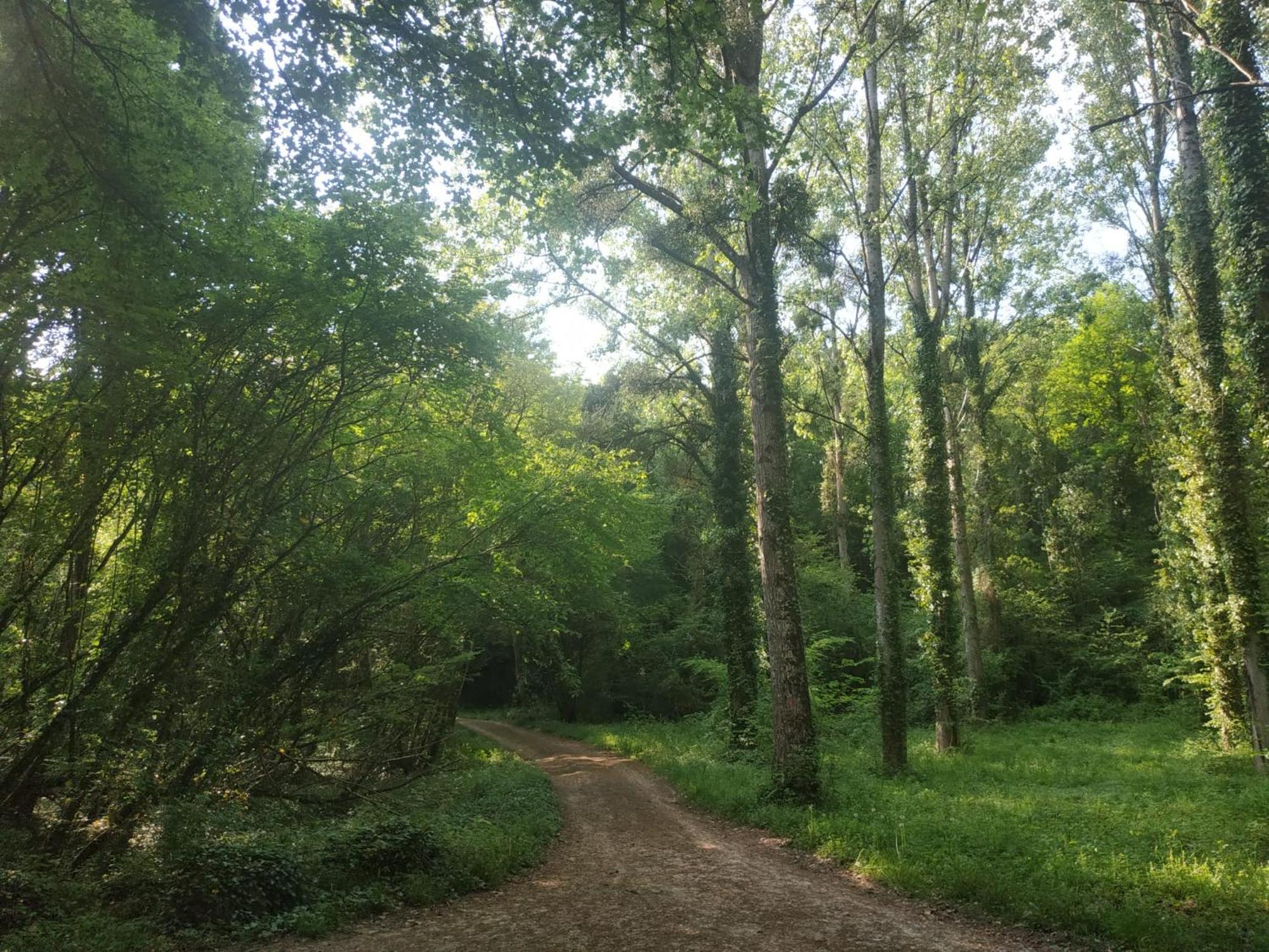 La Breteche, Gite Au Coeur Des Chateaux De La Loire Saint-Martin-le-Beau Buitenkant foto